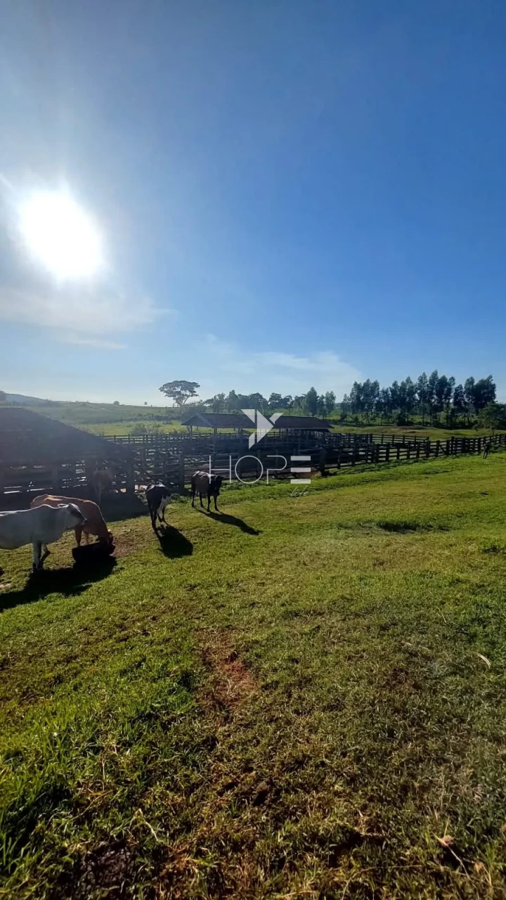 Imagens do imóveis Fazenda à venda com 204.5 alqueires - pecuária bovina - estrutura completa - região de Marília SP