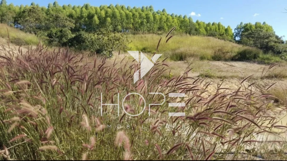 Imagens do imóveis Fazenda Dupla Aptidão - 112 Alqueires - Água Fria de Goiás GO - 542 Hectares - Boa de Água  - Eucalipto e Acácia