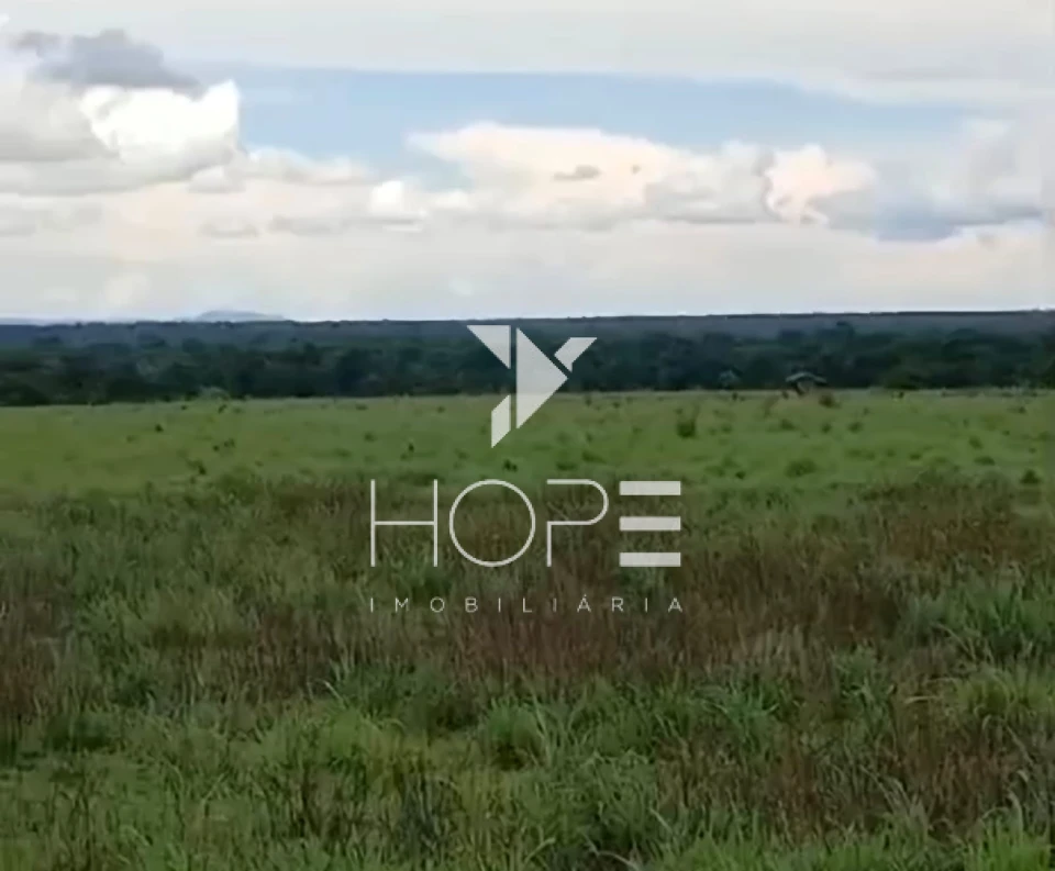 Imagens do imóveis Fazenda à venda 420 alqueires pecuária porteira fechada – municípios de Araguaçu e Porangatu – divisa Goiás / Tocantins