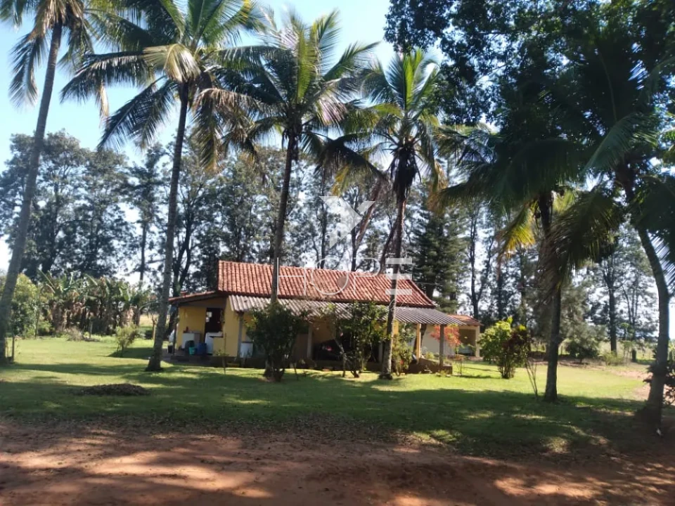 Imagens do imóveis Fazenda de laranja à venda com 77.5 alqueires - 77.150 pés - certificado para exportação - Região de Marília SP