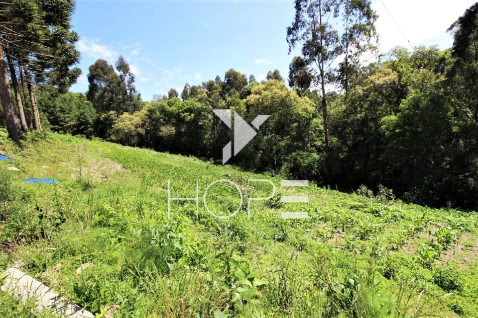 Chácara Completa à Venda  3.8 Alqueres Paulista e 4 Minas de Água – Agudos do Sul PR