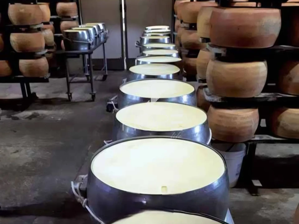 Imagens do imóveis fazenda leiteira à venda com 127 alqueires - laticínio próprio - porteira fechada - Pouso Alegre MG