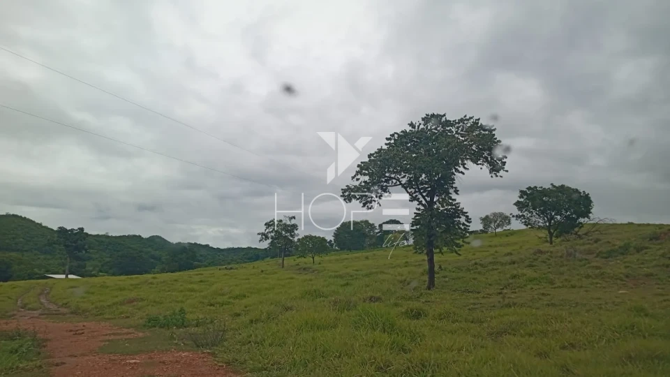 Imagens do imóveis Fazenda à venda com 54 alqueires - renda com cana - mansão de luxo - dupla aptidão - próximo a Uruanã GO