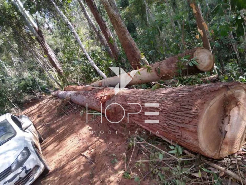 Imagens do imóveis Fazenda Produtiva à Venda - Santa Maria Madalena RJ - 456 Hectares - 146 Alqueires