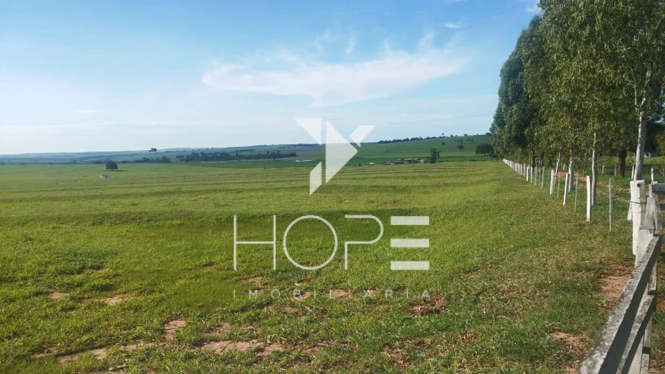 Imagens do imóveis Fazenda à venda 126 alqueires pecuária – região de Loanda – Paraná