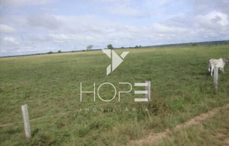 Imagens do imóveis Fazenda de 3.512 Alqueires à Venda – Muricilândia/TO – Estrutura Completa e Alta Capacidade Pecuária