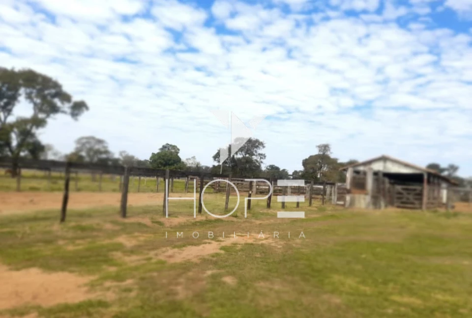 Imagens do imóveis fazenda à venda 622 alqueires dupla aptidão margem de rio – município de Bataguassu – Mato Grosso do Sul