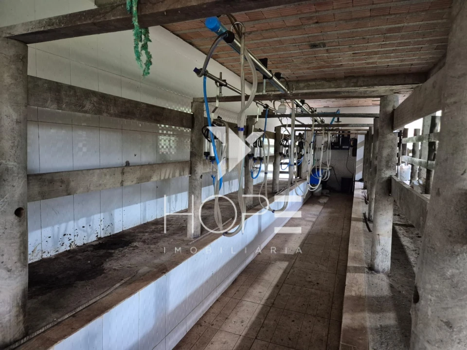Imagens do imóveis Fazenda Produtiva à Venda na Região de Registro/SP – 174 Alqueires – Estrutura para Pecuária Leiteira – Abundância de Água