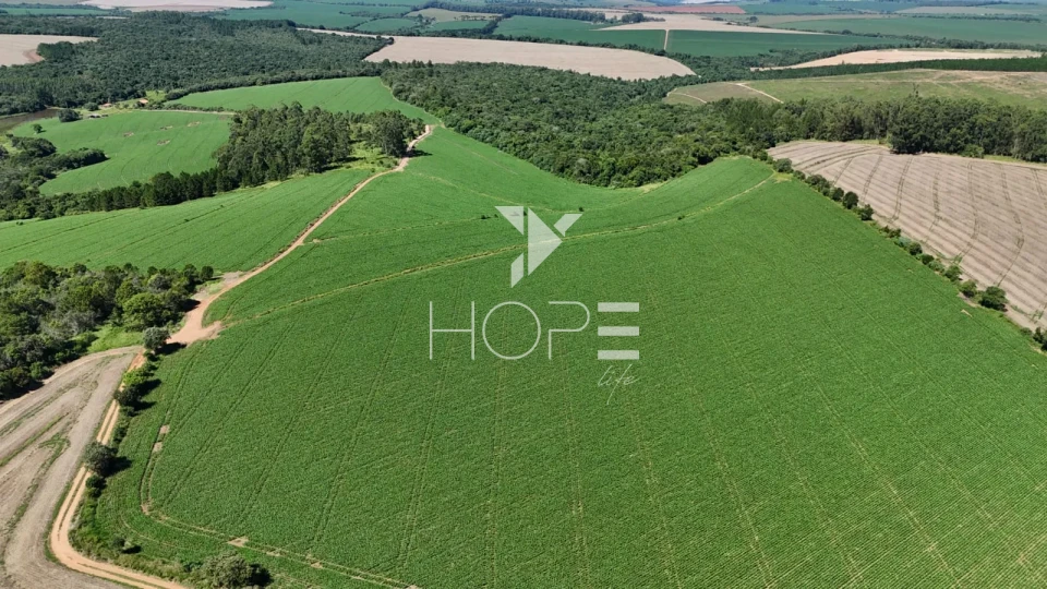 Imagens do imóveis Fazenda à venda com 75 alqueires (181.5 hectares) - agricultura e eucalipto - São Miguel Arcanjo SP