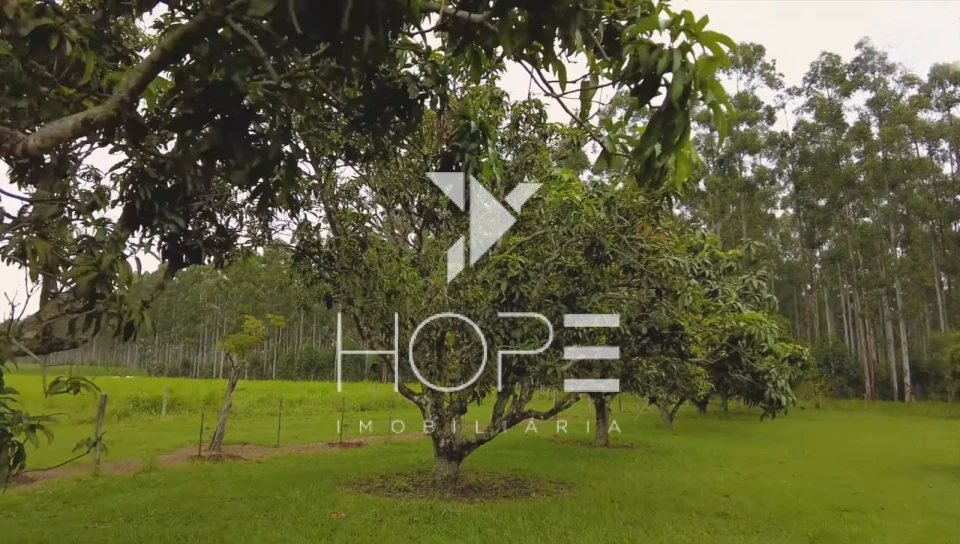 Imagens do imóveis Fazenda à venda – 80 alqueires – Tatuí/SP – Próxima a Sorocaba