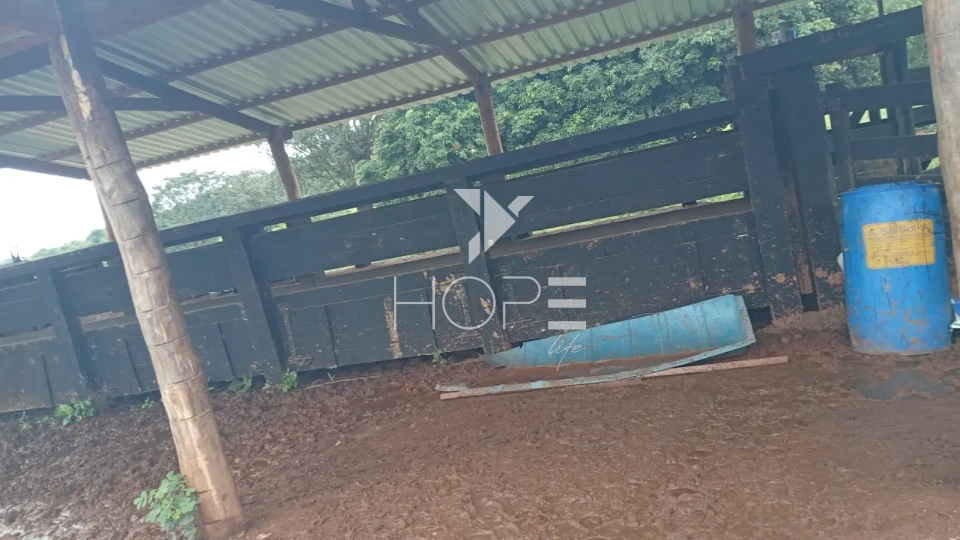 Imagens do imóveis Fazenda à venda com 260 alqueires - 201 formados - confinamento - apta para pivô - Mozarlândia GO