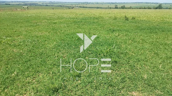 Imagens do imóveis Sítio à venda 13 alqueires pecuária benfeitorias completas – Porto São José – São Pedro do Paraná – próximo a Porto Rico