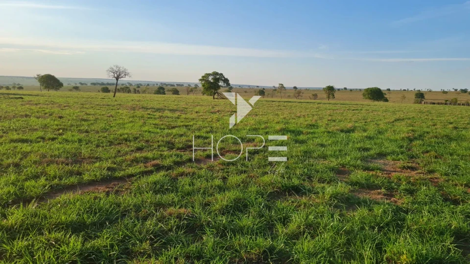 Imagens do imóveis Fazenda em dívida à venda com 322 alqueires - estrutura pecuária completa - Águas Claras MS