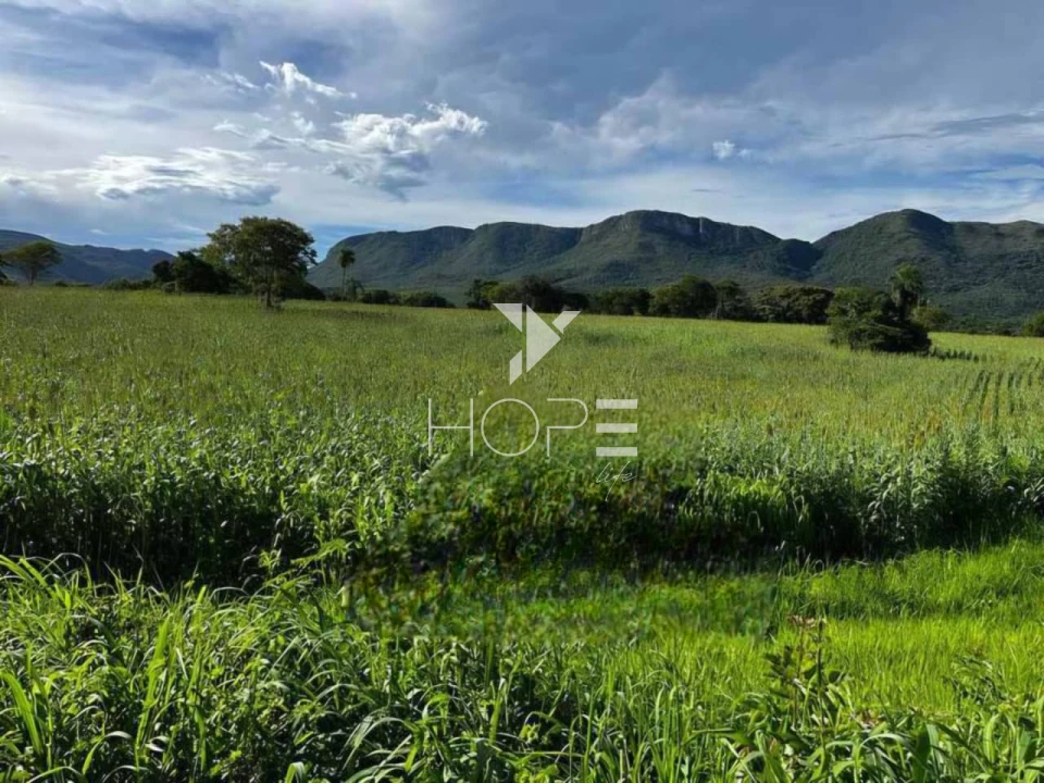 Imagens do imóveis Fazenda à venda 2.725 hectares pecuária porteira fechada – região de Monte Alegre de Goiás – Goiás