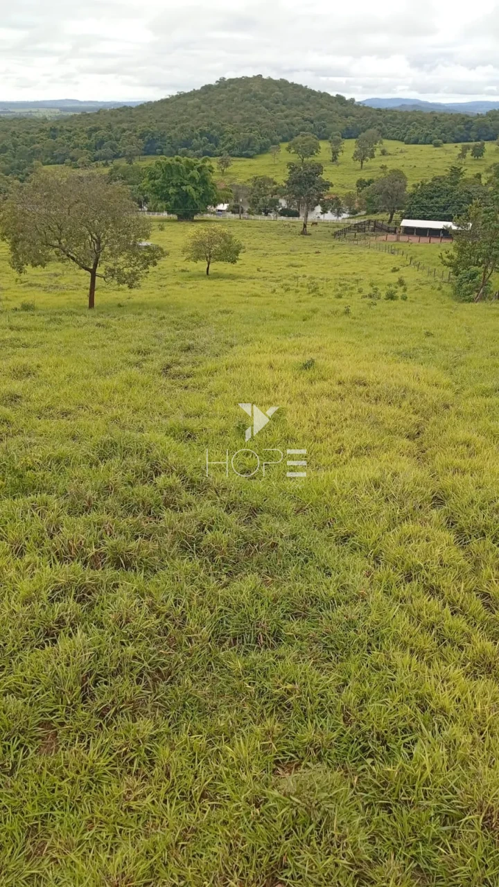 Imagens do imóveis Fazenda à venda com 260 alqueires - 201 formados - confinamento - apta para pivô - Mozarlândia GO