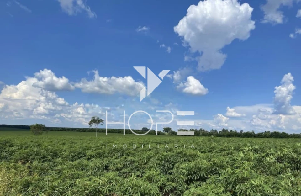 Imagens do imóveis Fazenda à Venda Proximo a Marília/SP – 146 Alqueires – 90% Aproveitamento – Rica em Água