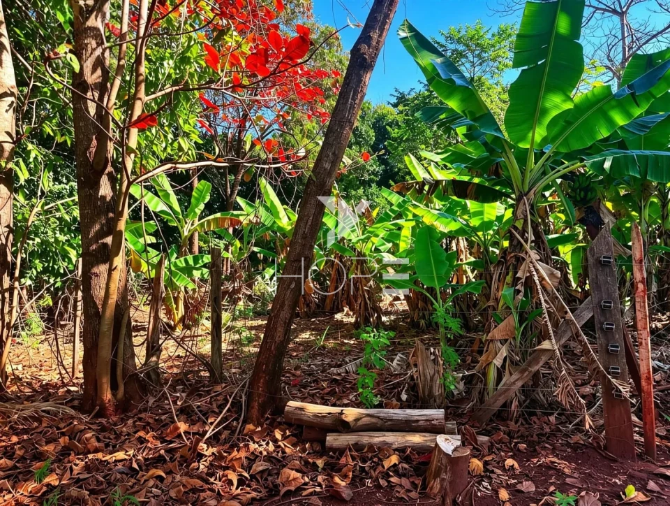 Imagens do imóveis Chácara molhada à venda - 3 quartos - 2 suítes - acesso à água - Alvorada do Sul PR