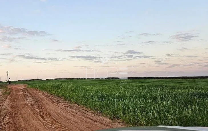 Imagens do imóveis Fazenda à Venda - Solo Misto – 174,24 Hectares – Bauru/SP