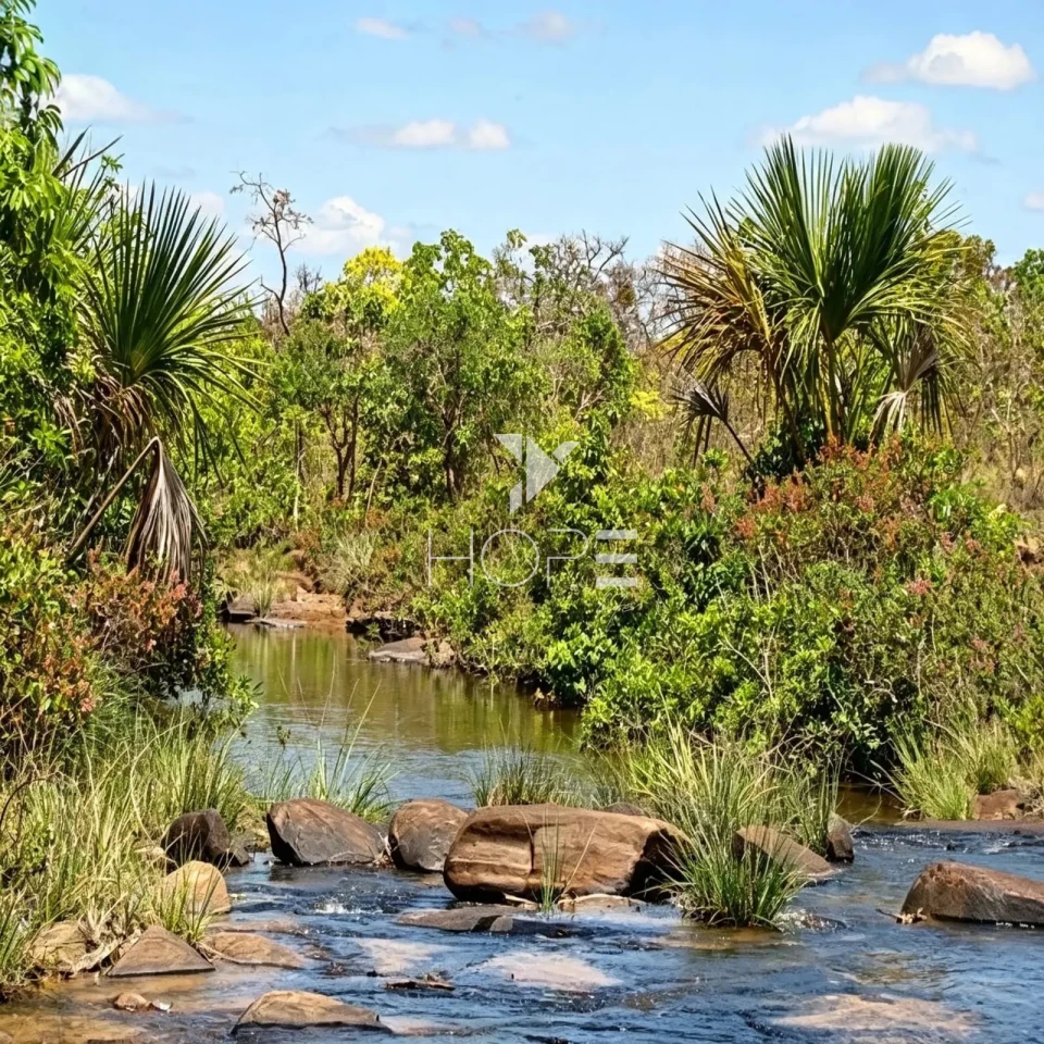 Fazenda à Venda com Aptidão Pecuária e Florestal – 513 Hectares – Brasilândia de Minas/MG