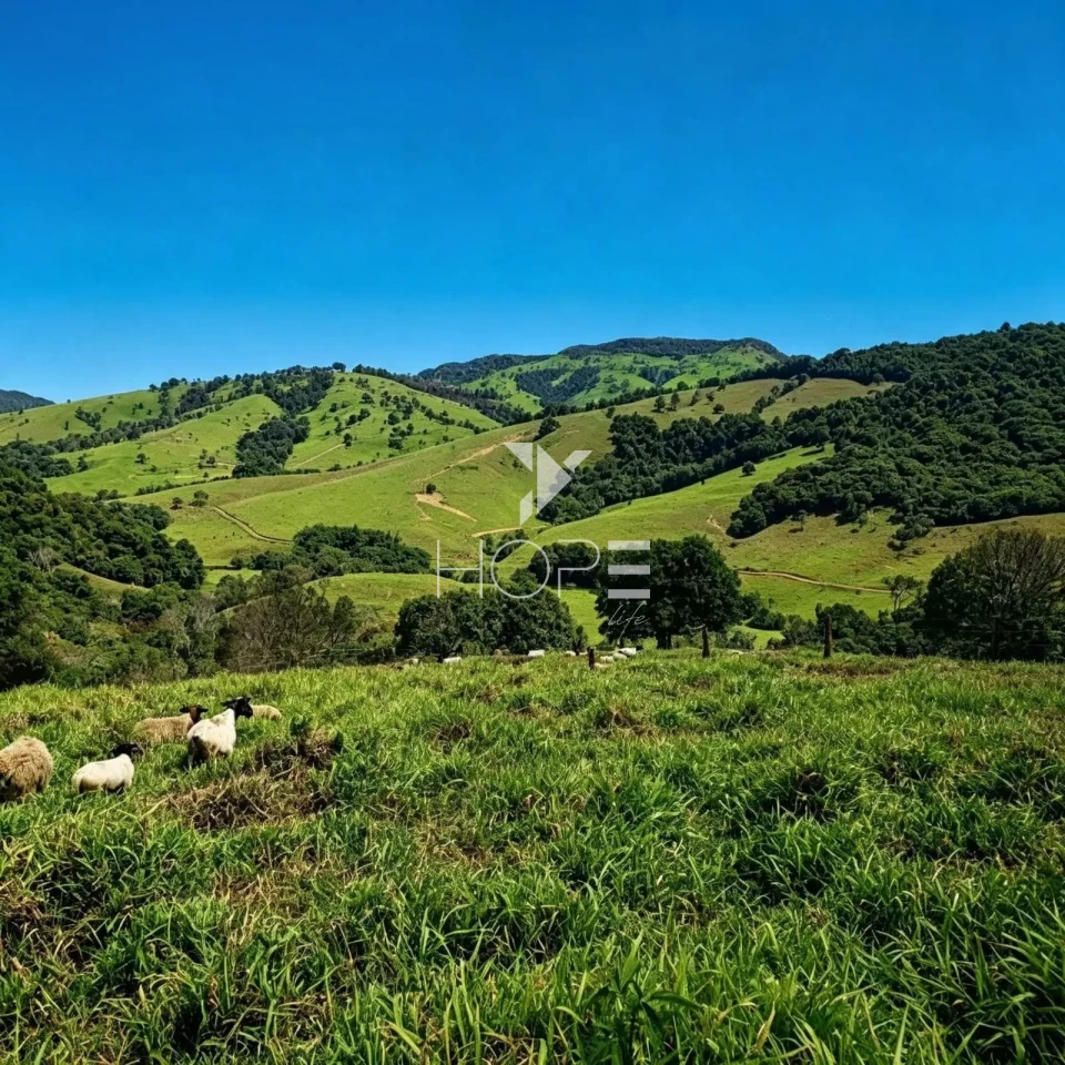 Imagens do imóveis Fazenda à Venda com Potencial Turístico – 30 Alqueires – Capitólio/MG