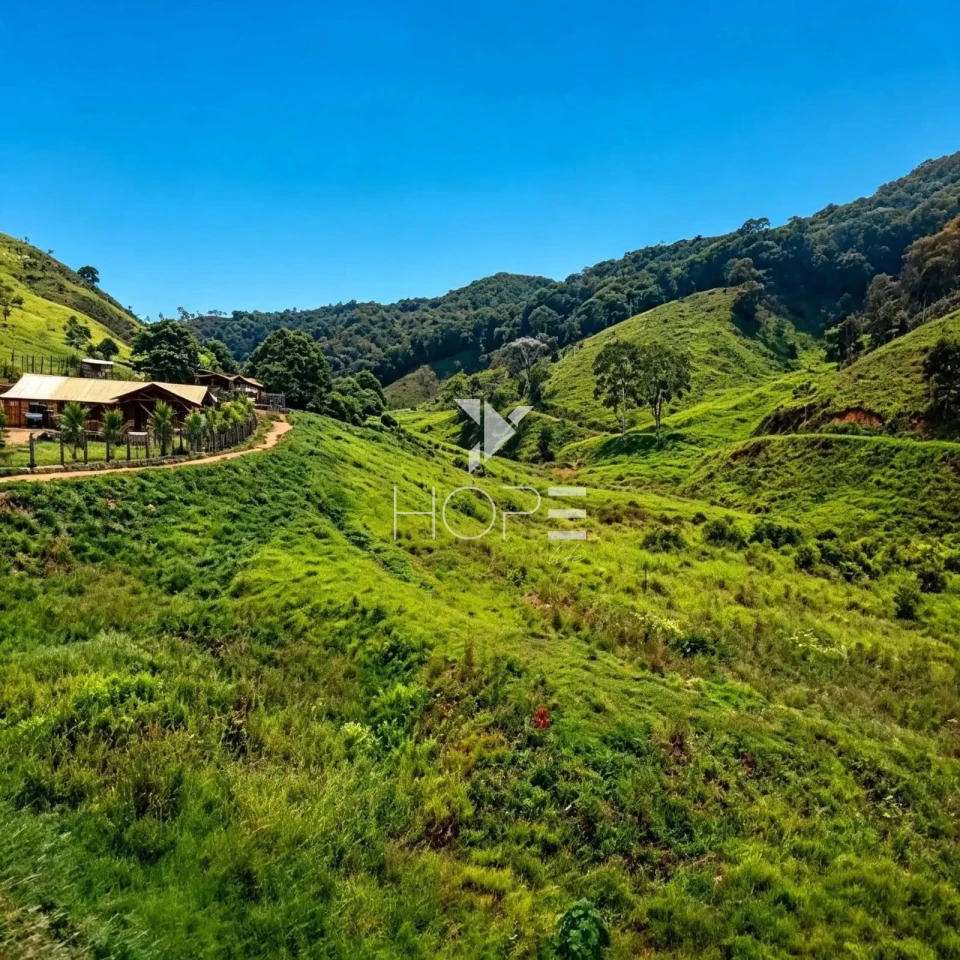Imagens do imóveis Fazenda à Venda com Infraestrutura Completa – 294,30 Hectares – Carmésia/MG
