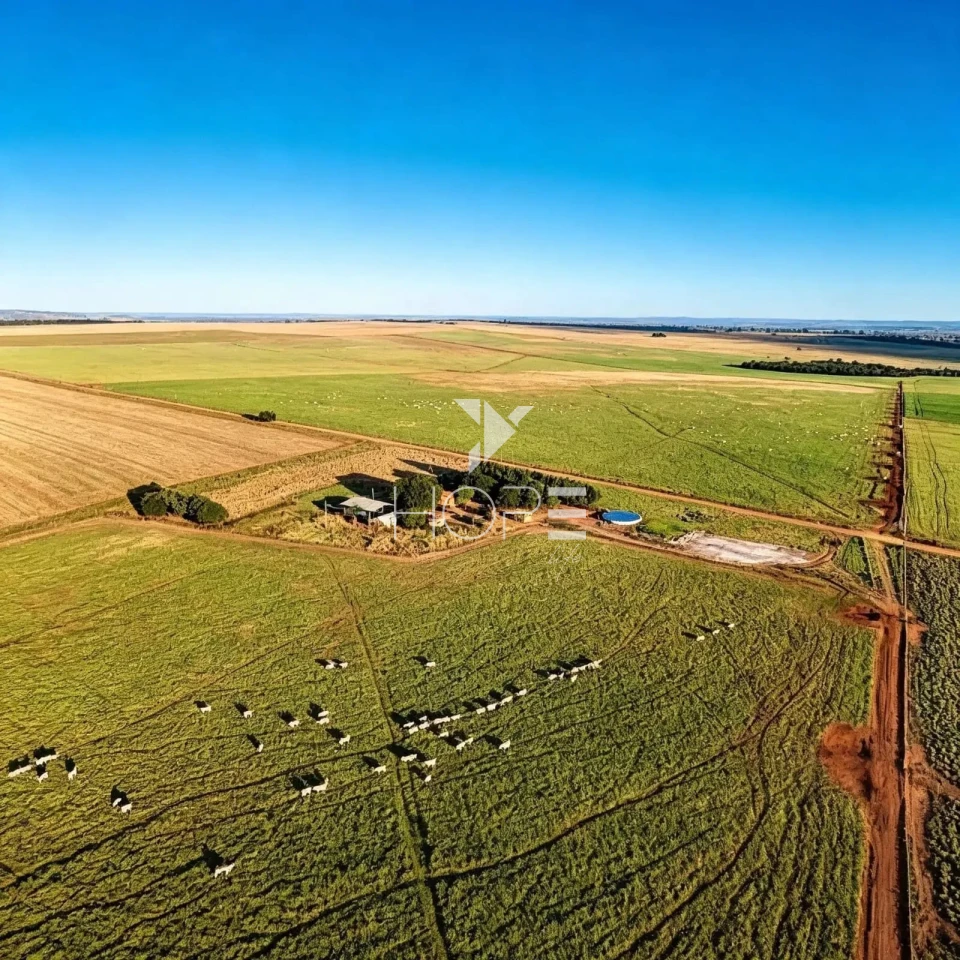 Imagens do imóveis Fazenda à Venda - Agricultura e Pecuária - Topografia Plana – 5.359 Hectares – Sonora – Sonora/MS