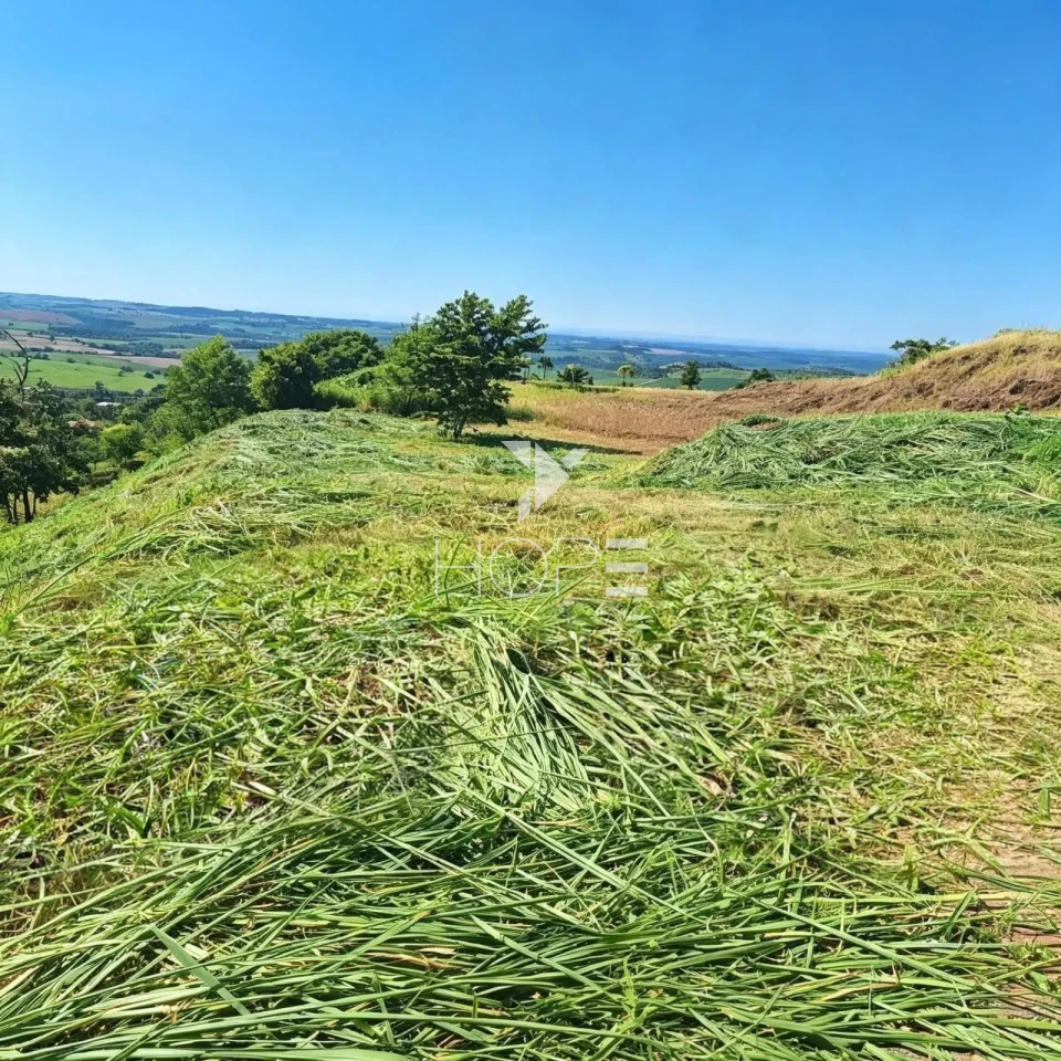 Imagens do imóveis Terreno em Condomínio à Venda – 7.300m² – Condomínio de Chácaras Itaúna – Ibiporã/PR