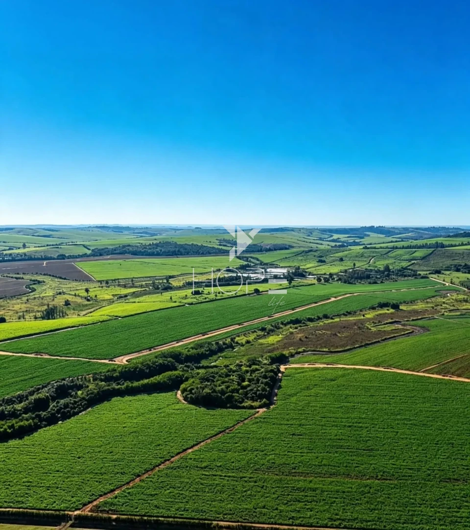 Imagens do imóveis Fazenda à Venda - Topografia Plana – Docuntação Regularizada -  237 Alqueires – Itu/SP