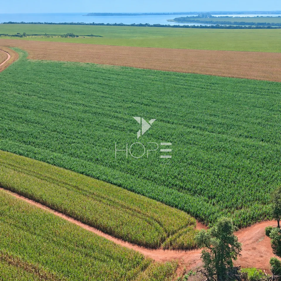 Imagens do imóveis Fazenda á Venda - 755 Hectares - Frente para a Represa do Rio Tibagi - Sertaneja/PR
