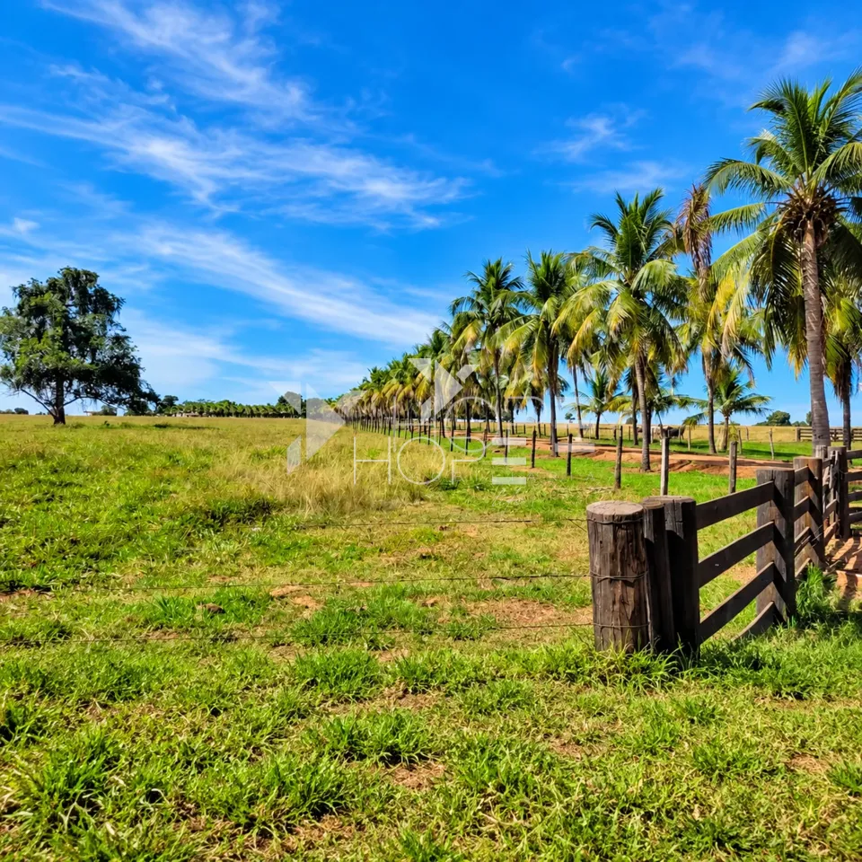 Imagens do imóveis Fazenda à Venda – Mundo Novo/GO