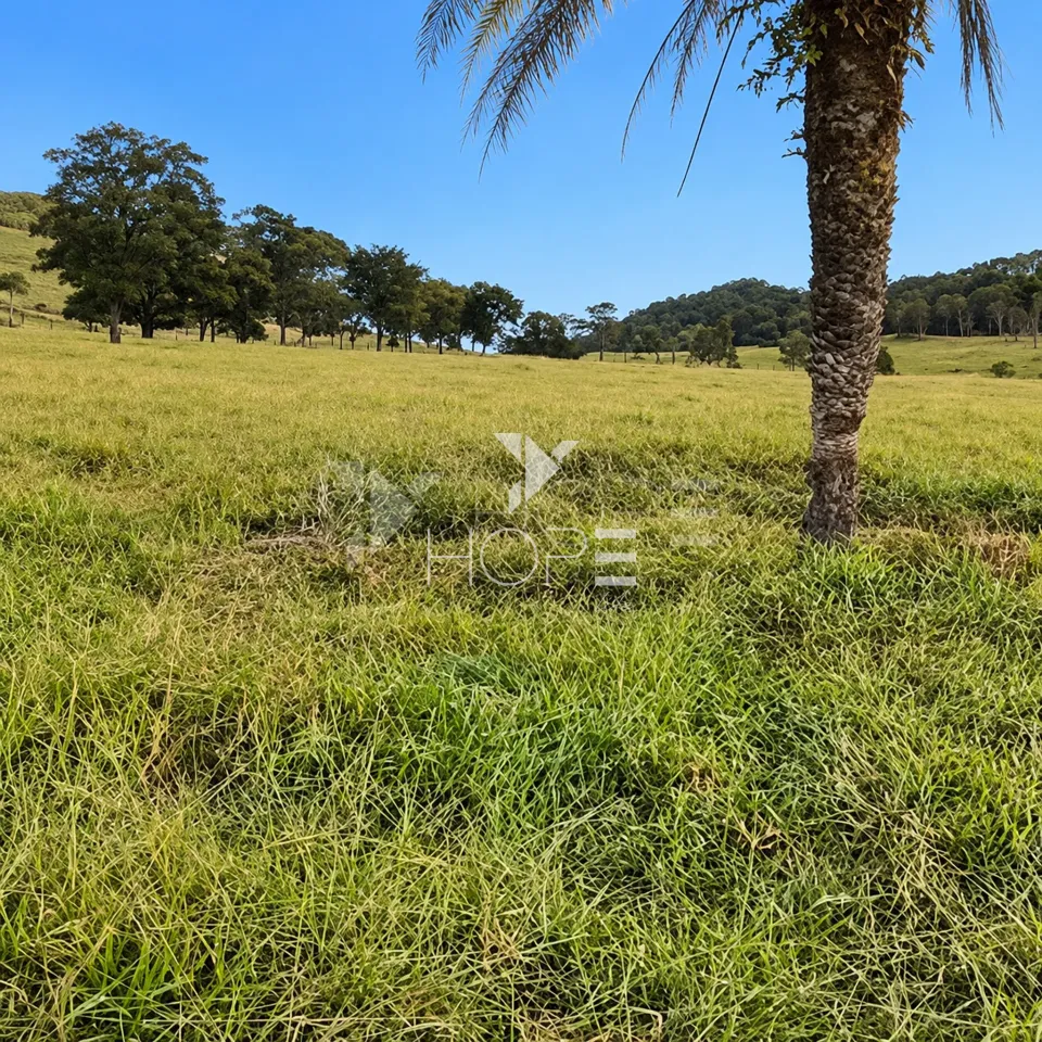Imagens do imóveis Fazenda à Venda – Zona Rural – Rubiataba/GO
