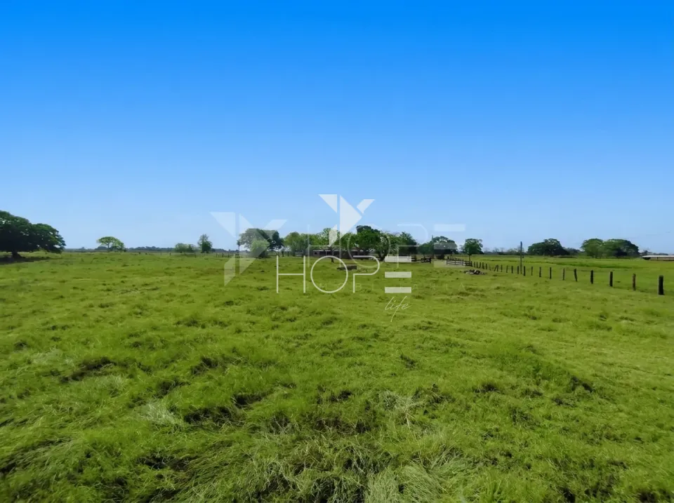 Imagens do imóveis Fazenda Pecuária à Venda – 1.000 Hectares – Estrutura para Pecuária – Poconé/MT