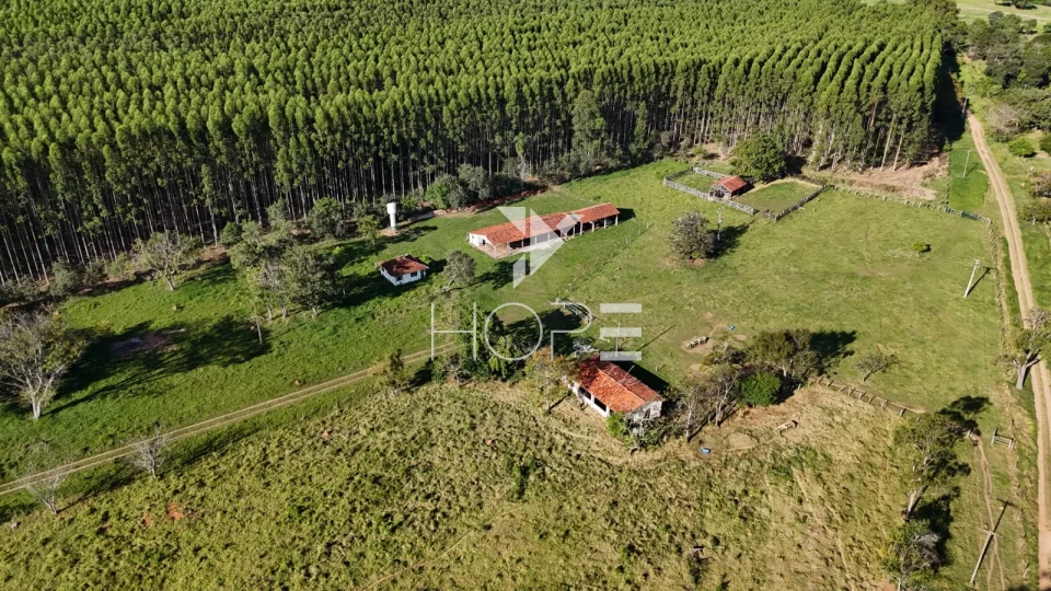 Imagens do imóveis Fazenda à venda com 148 alqueires - eucalipto e pastagem - margem para represa - Paranapanema SP
