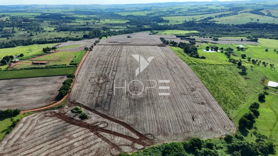 Imagens do imóveis Sítio à venda com 25 alqueires (61 hectares) - 15 alqueires em plantio - Itapetininga SP