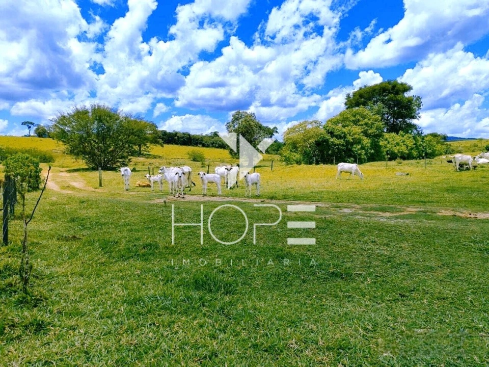Fazenda à Venda na Região de Botucatu/SP – 294 Alqueires com Frente para a Rodovia Castelo Branco