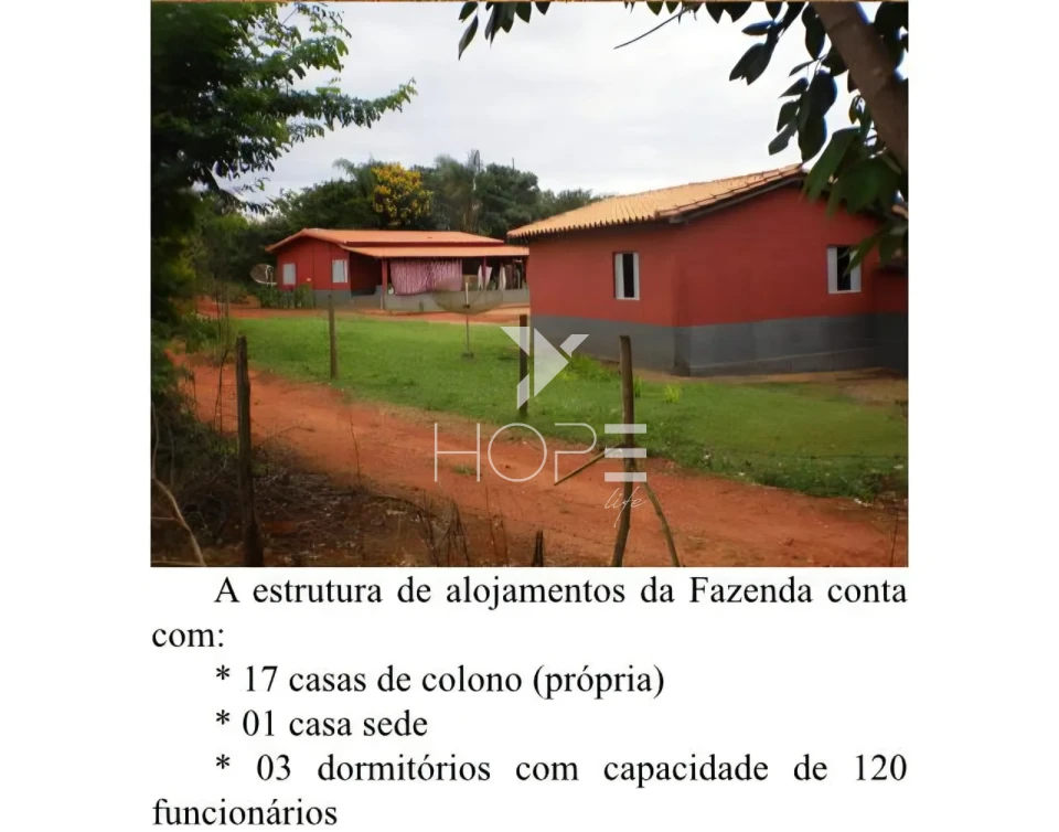 Fazenda cafeeira à venda com 1.333 hectares - 900 hectares em café - alta produtividade - Minas Gerais