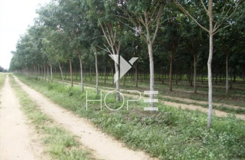 Imagens do imóveis Fazenda de 3.512 Alqueires à Venda – Muricilândia/TO – Estrutura Completa e Alta Capacidade Pecuária