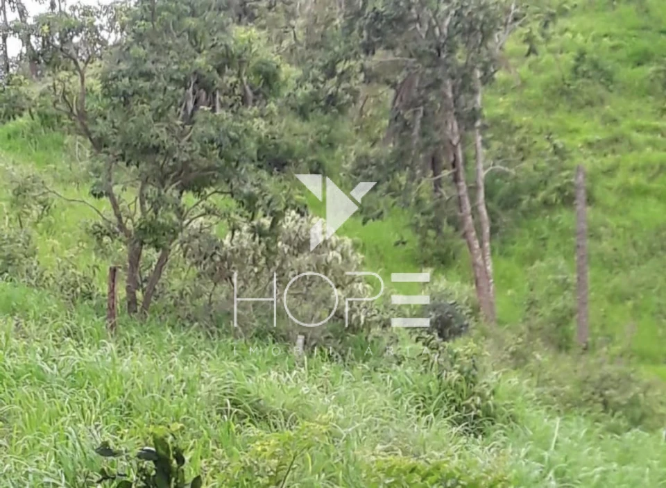 Imagens do imóveis Fazenda Dupla Aptidão - 112 Alqueires - Água Fria de Goiás GO - 542 Hectares - Boa de Água  - Eucalipto e Acácia