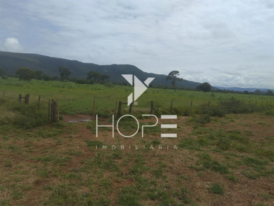 Fazenda à Venda em Formosa/GO – 1.002 Alqueires – Dupla Aptidão – Porteira Fechada