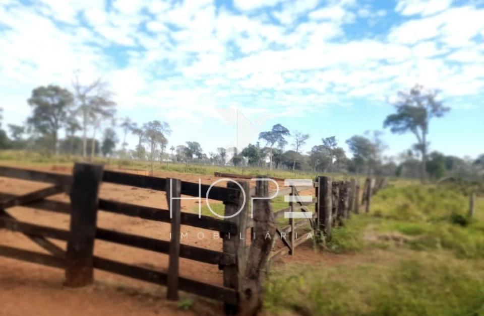 Imagens do imóveis fazenda à venda 622 alqueires dupla aptidão margem de rio – município de Bataguassu – Mato Grosso do Sul