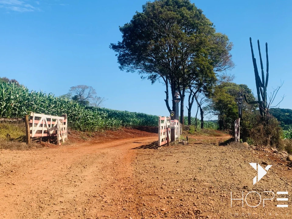 Imagens do imóveis Fazenda à Venda – 84 Alqueires – Sertanópolis/PR