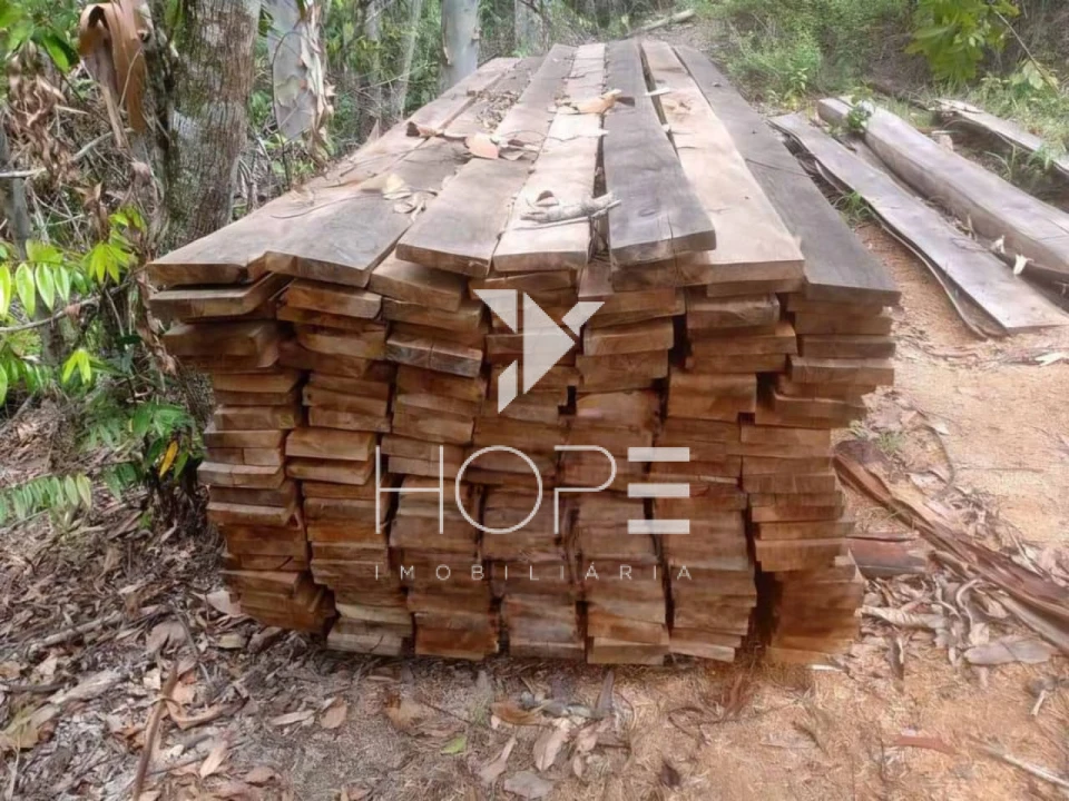 Imagens do imóveis Fazenda Produtiva à Venda - Santa Maria Madalena RJ - 456 Hectares - 146 Alqueires