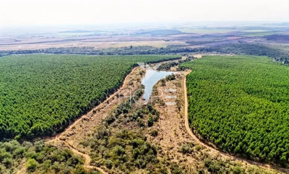 Imagens do imóveis Fazenda à venda com Eucalipto 321 alqueires - 777 hectares - arrendada Para Suzano - beira Rio Tietê - Itu SP