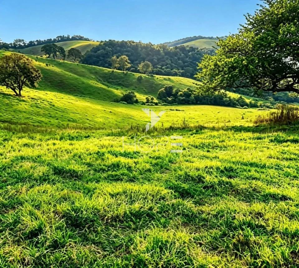 Imagens do imóveis Fazenda de Dupla Aptidão com 781 Hectares em Caxambu-MG – Haras, Pecuária e Agricultura