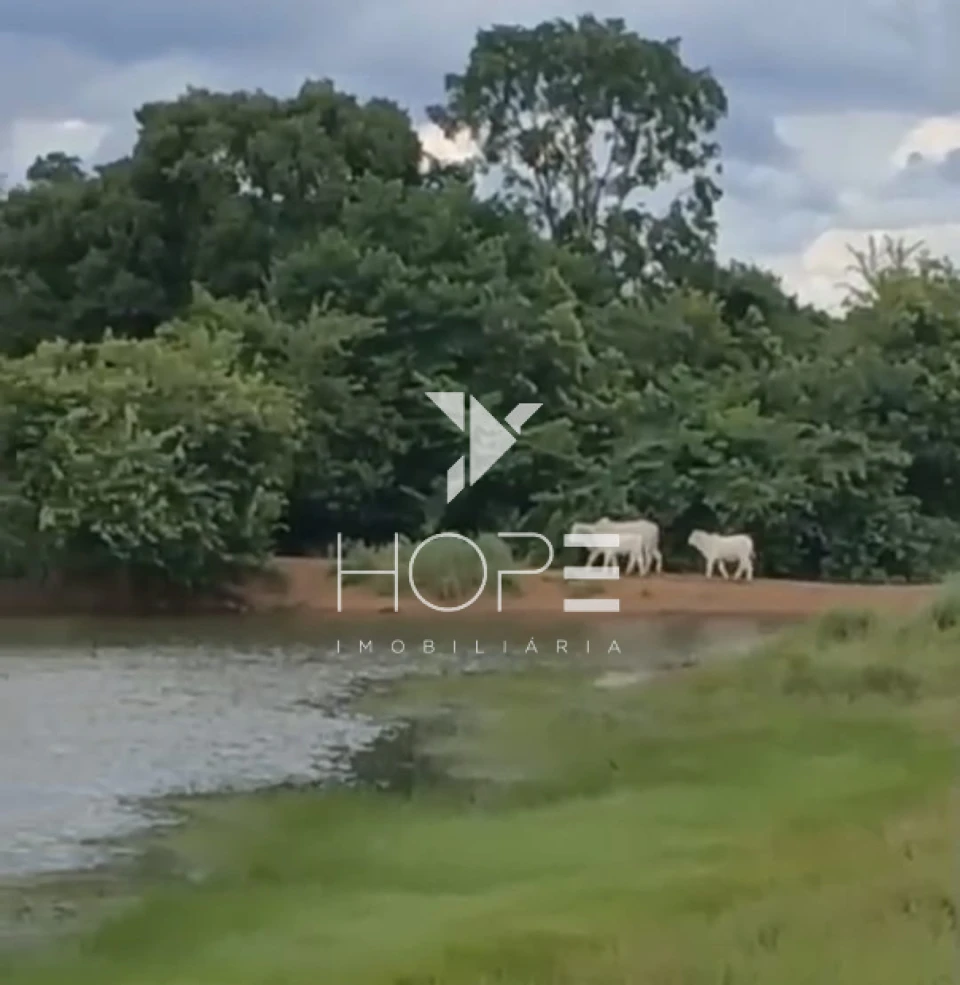 Imagens do imóveis Fazenda à venda 420 alqueires pecuária porteira fechada – municípios de Araguaçu e Porangatu – divisa Goiás / Tocantins