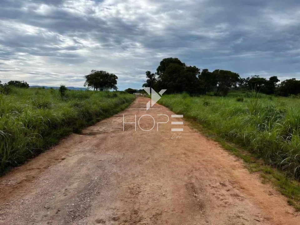 Imagens do imóveis Fazenda à venda 2.725 hectares pecuária porteira fechada – região de Monte Alegre de Goiás – Goiás