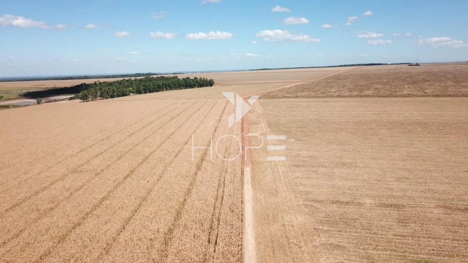 Imagens do imóveis Fazenda à venda 39.000 hectares dupla aptidão com armazém e pista de pouso – região de Confresa – Mato Grosso