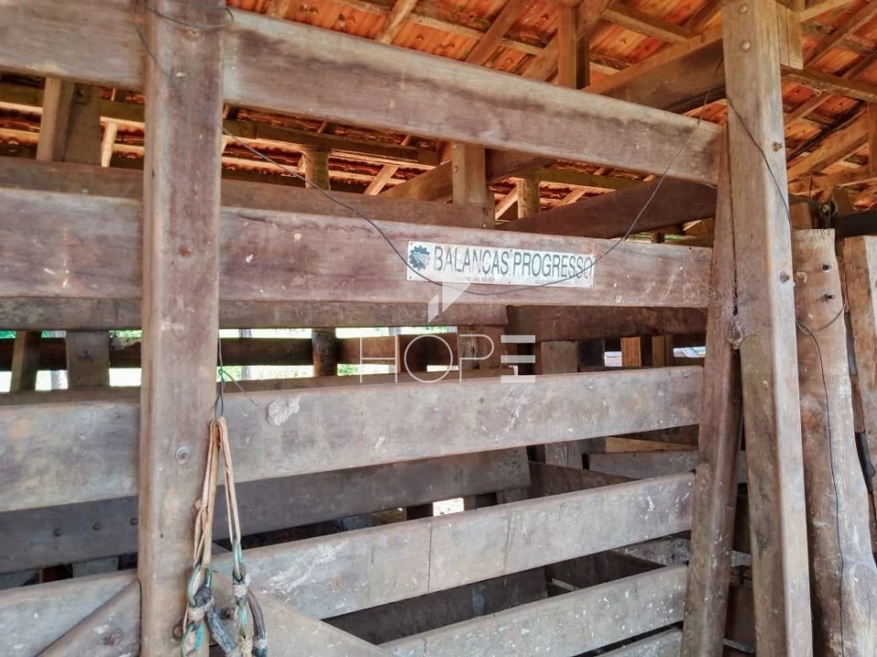Fazenda à venda com 76 alqueires - pecuária com potencial agrícola - Guaravera - Londrina PR