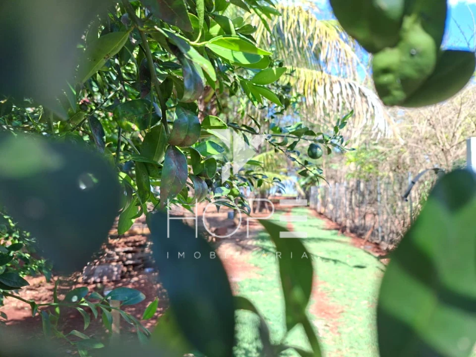Imagens do imóveis Chácara de Alto Padrão à Venda – 2 Casas – Acesso ao Rio Paranapanema – Alvorada do Sul/PR