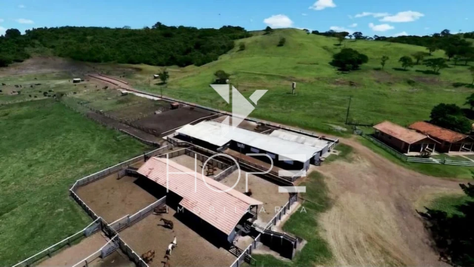 Fazenda à Venda – Região de Londrina/PR – 1.390 Alqueires – Ativo Agropecuário Multifuncional